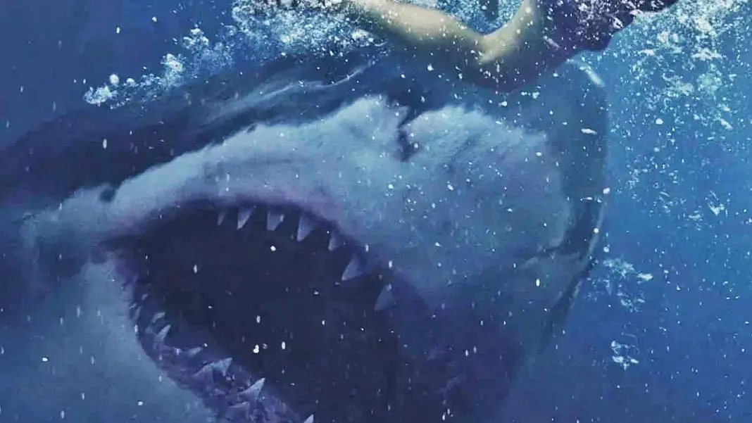Great White, the new shark movie will be released in July in video on